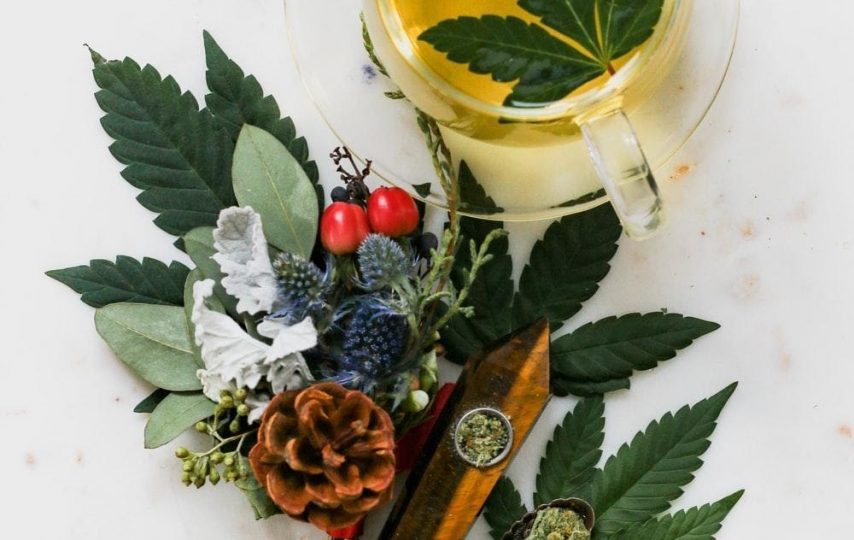 7 Amazing Benefits of Vegan CBD Infused Food